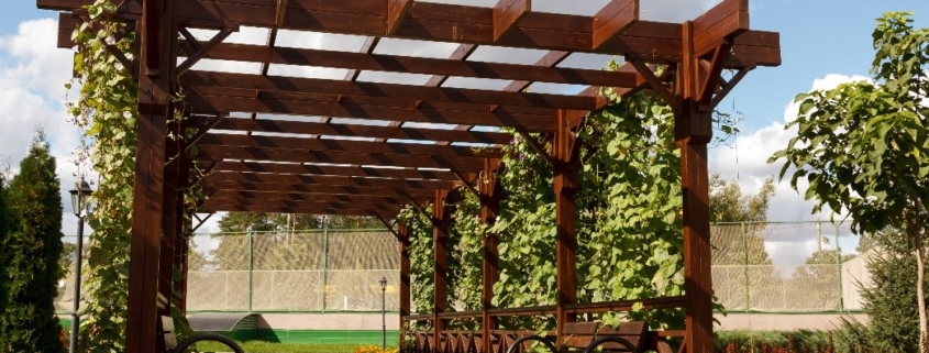 A Patio Garden | Outdoor Patio